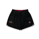 WE THE PEOPLE HPTX JIU JITSU SHORTS (5" INSEAM) | LIBERTY